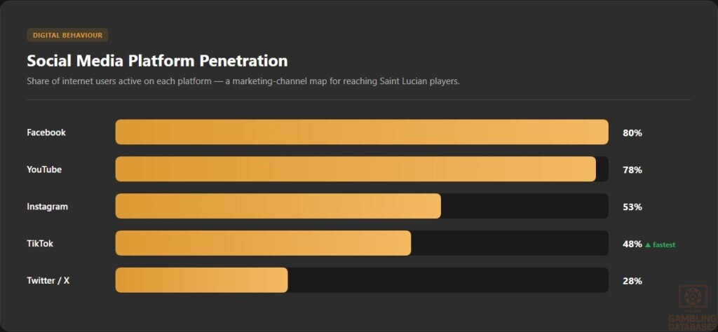Social Media Platform Penetration