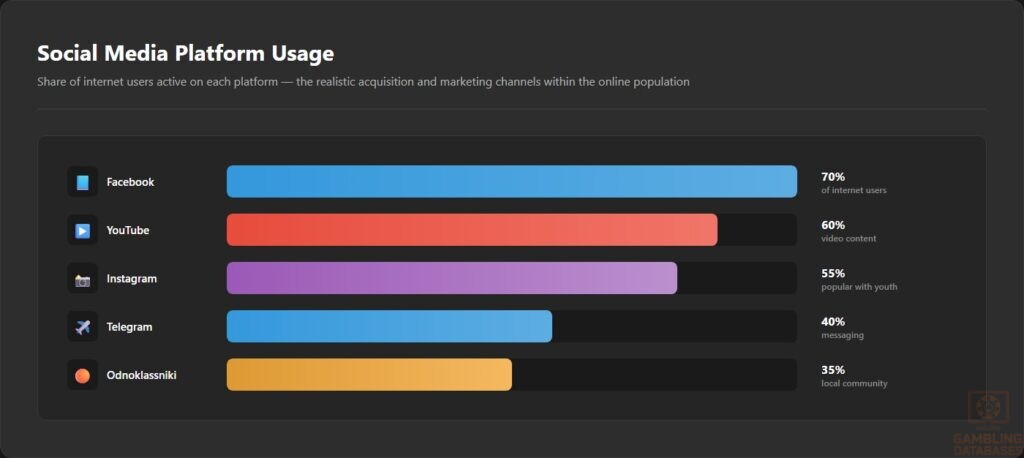 Social Media Platform Usage