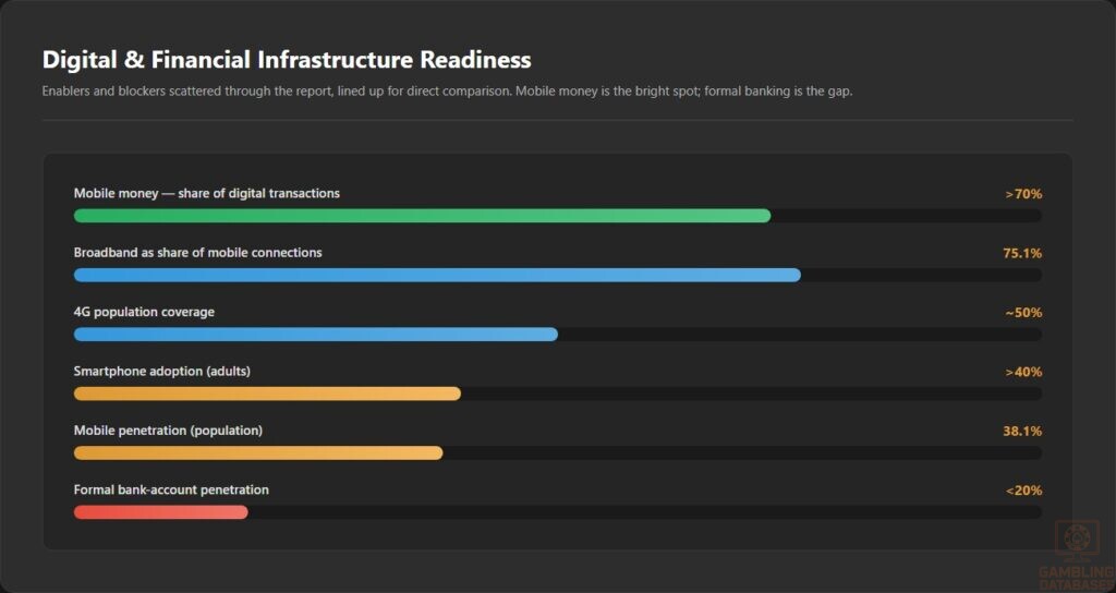 Digital & Financial Infrastructure Readiness
