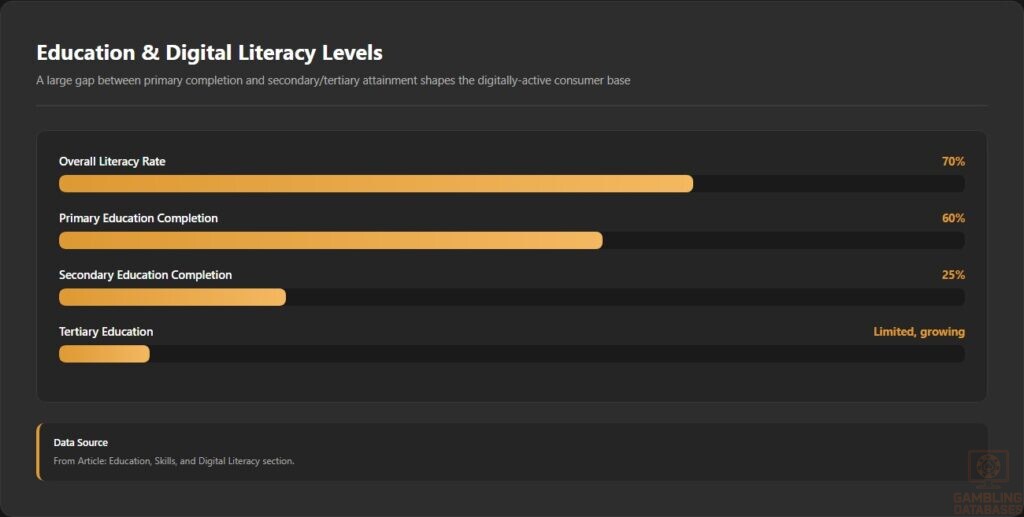Education _ Digital Literacy Levels
