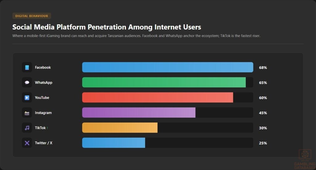 Social Media Platform Penetration Among Internet Users