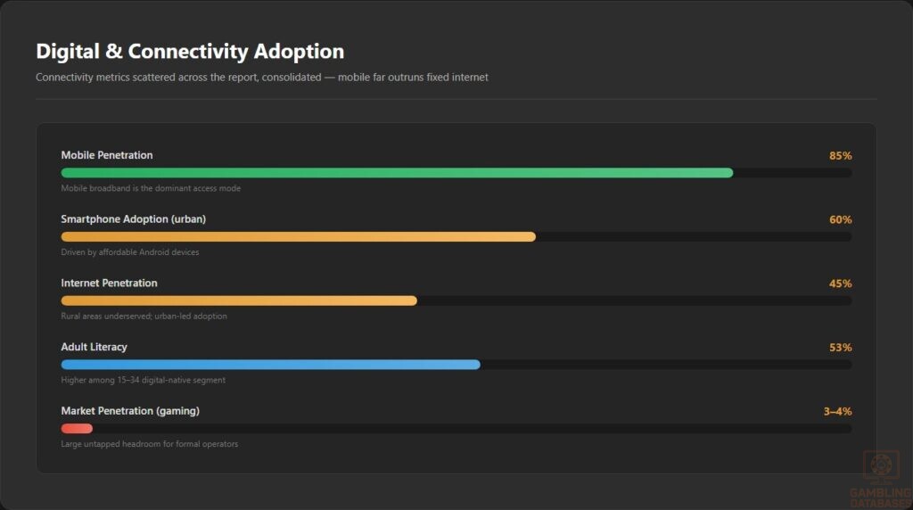Digital & Connectivity Adoption