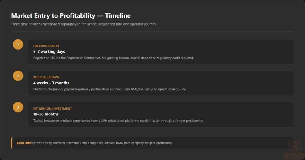Market Entry to Profitability — Timeline