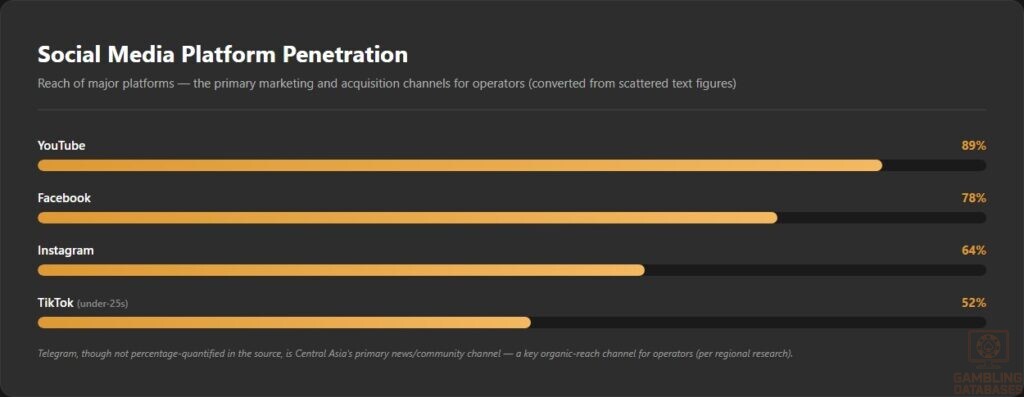 Social Media Platform Penetration