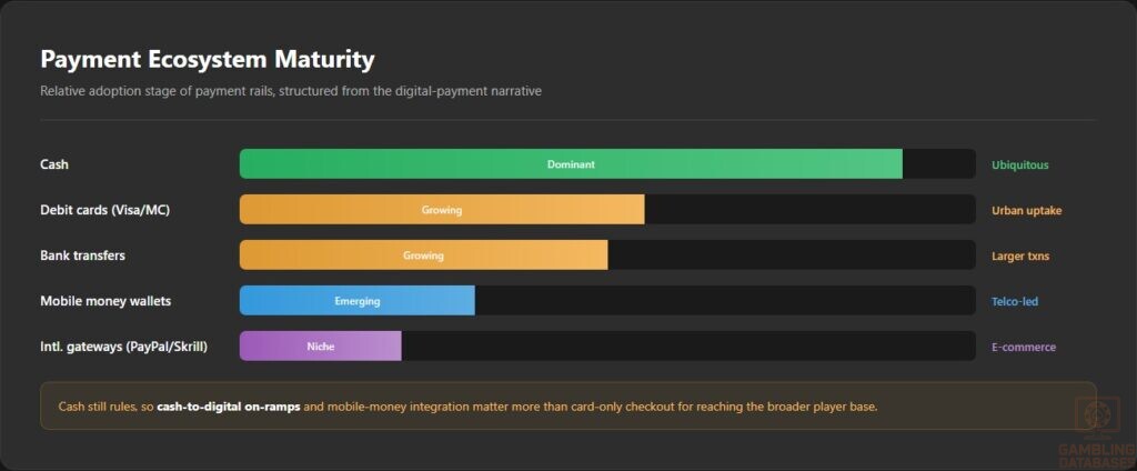 Payment Ecosystem Maturity