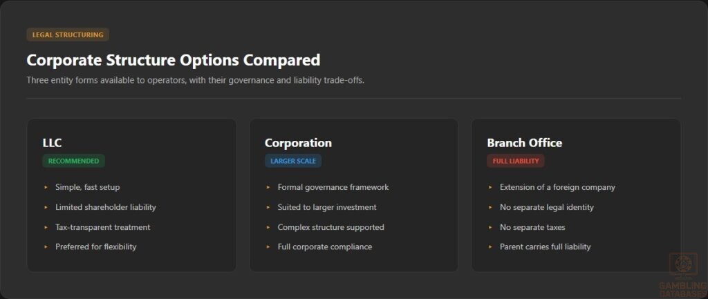 Corporate Structure Options Compared