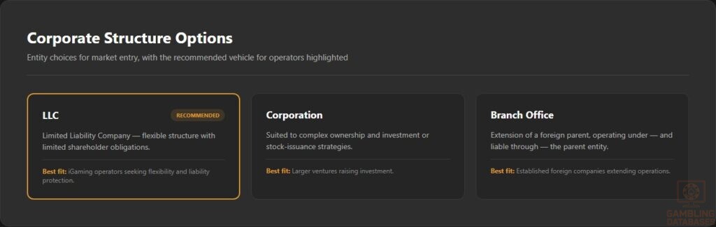 Corporate Structure Options