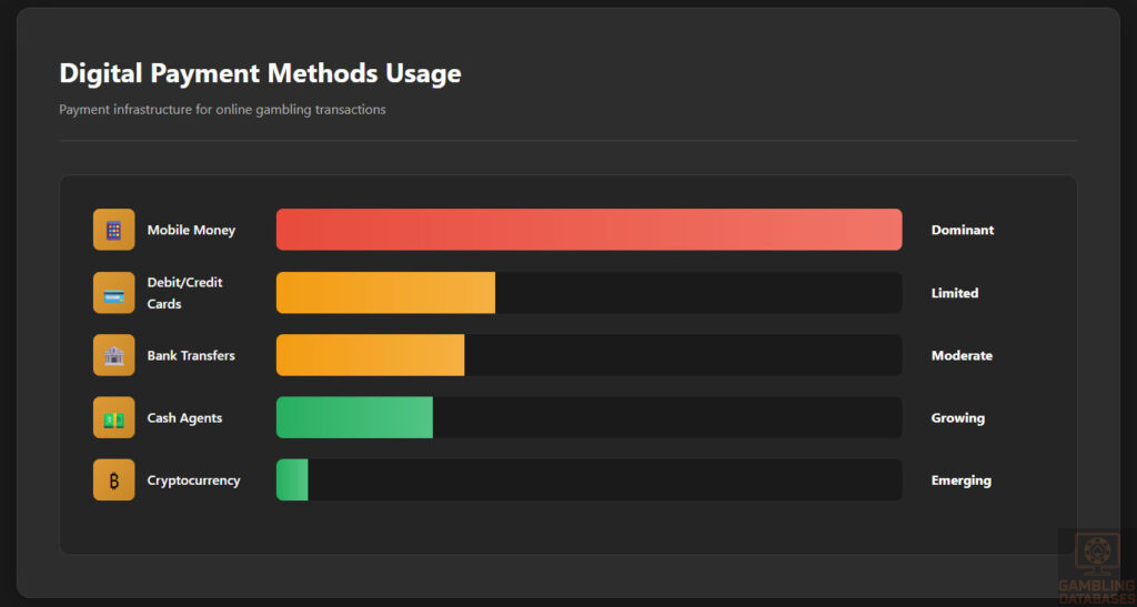 Digital Payment Methods Usage