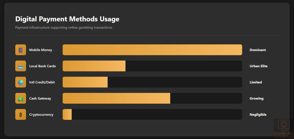 Digital Payment Methods Usage