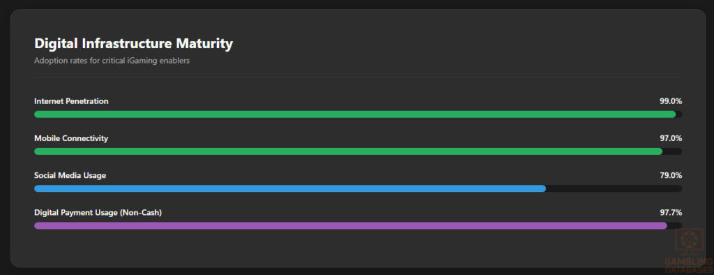Digital Infrastructure Maturity